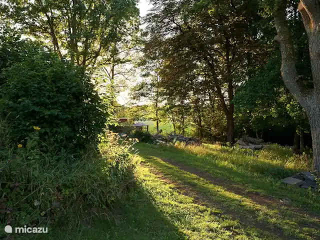 Chalet du lac Agundaborg | Suède, Småland, Ljungby - gîte / cottage Le chemin vers les canoës. On y voit souvent des animaux sauvages le soir ou tôt le matin