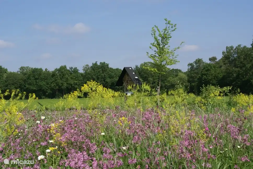 Pflückengarten mit Bienenhotel