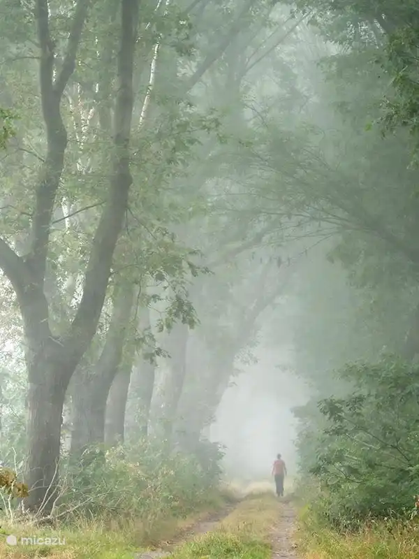 in der Gegend spazieren gehen