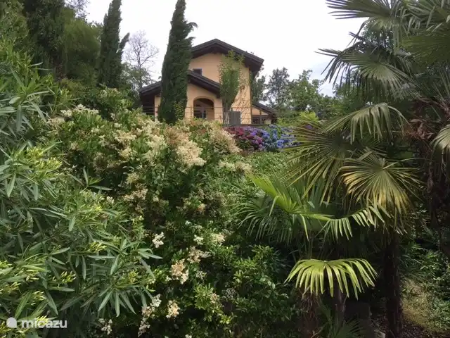 Cannobio-Lago Maggiore S.Carmine 1A en Italia, Piamonte, Carmine Inferiore - casa vacacional una vista de nuestra casa desde el jardin