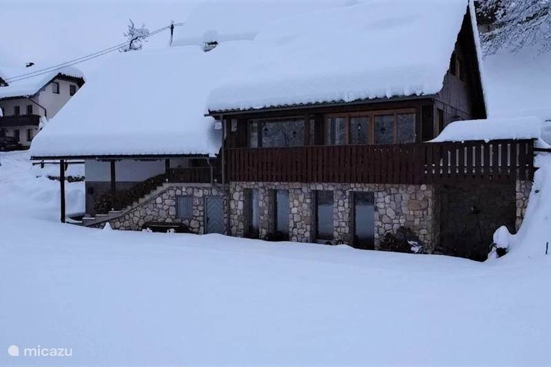 Vakantiehuis Slovenië, Julische Alpen, Bohinj Appartement Bohinj Barn