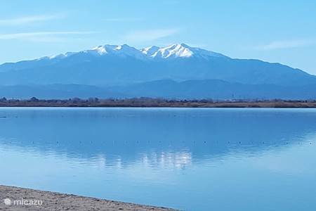 Lake - nature reserve of Canet
