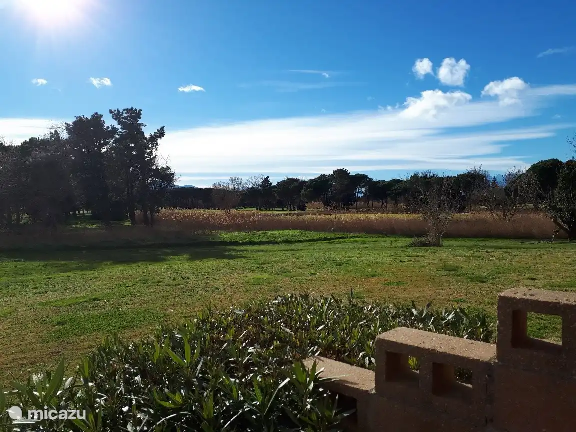 Blick von der Terrasse auf Garten und Golfplatz