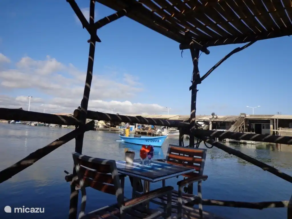 Frische Austern in Port Leucate essen