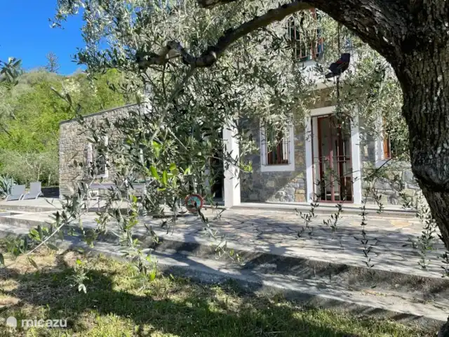 Villa Dolce Apricale | Italie, Ligurie, Apricale - villa Olivier ancien dans le jardin