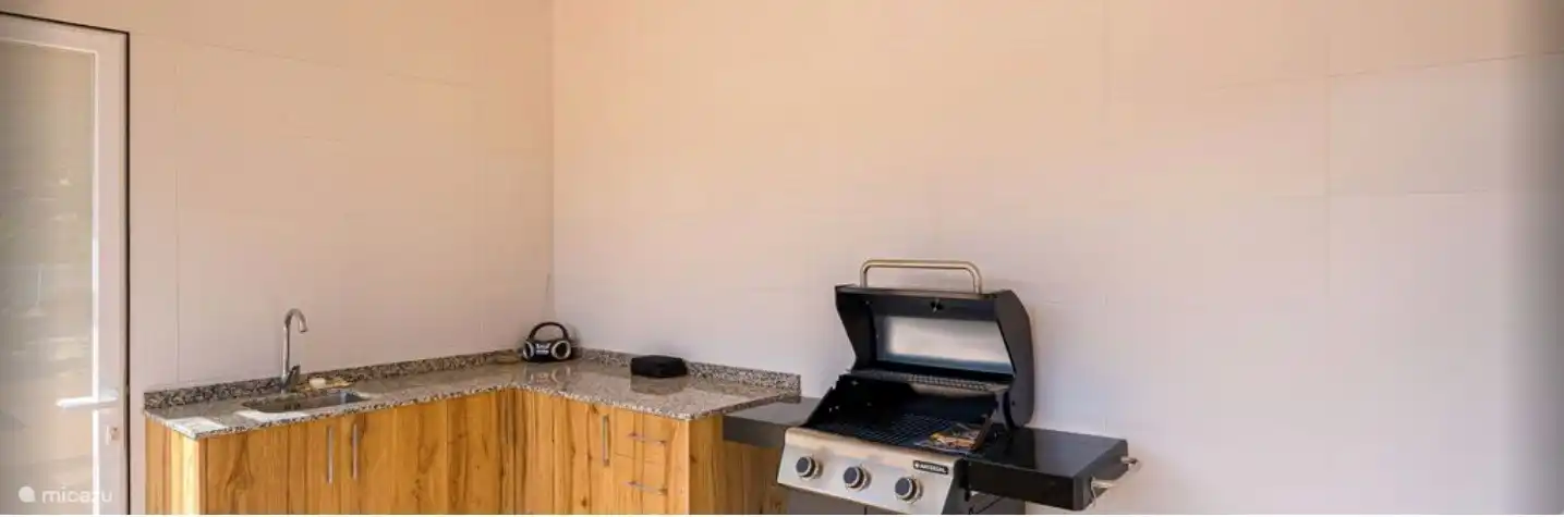 Barbacoa al contenido de su corazón.