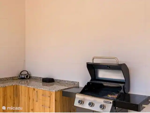 Maison Olivier | Espagne, Costa Blanca, Hondón de las Nieves - villa BBQ au contenu de votre coeur.