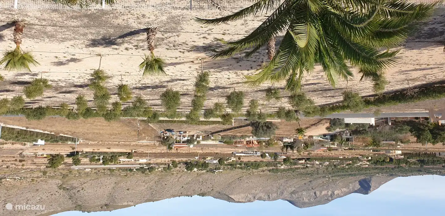 acogedora petanca cerca de los olivos