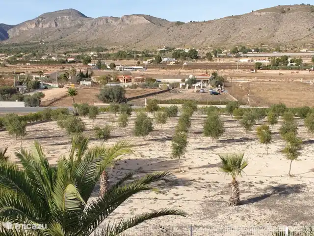 Maison Olivier | Espagne, Costa Blanca, Hondón de las Nieves - villa Pétanque cosy près des oliviers