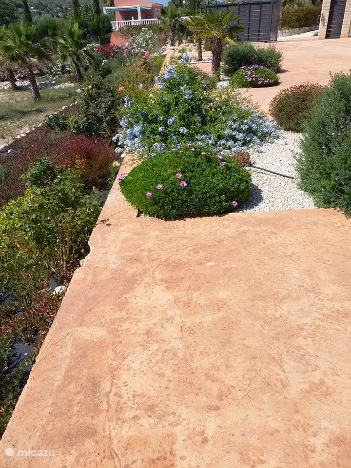 jardín en plena floración