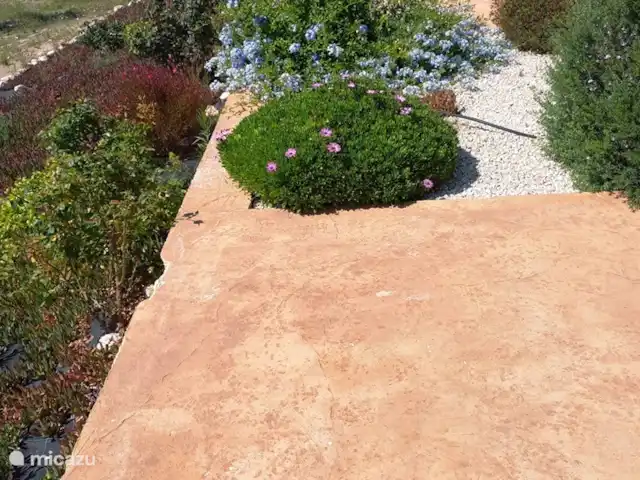 Maison Olivier | Espagne, Costa Blanca, Hondón de las Nieves - villa jardin en pleine floraison