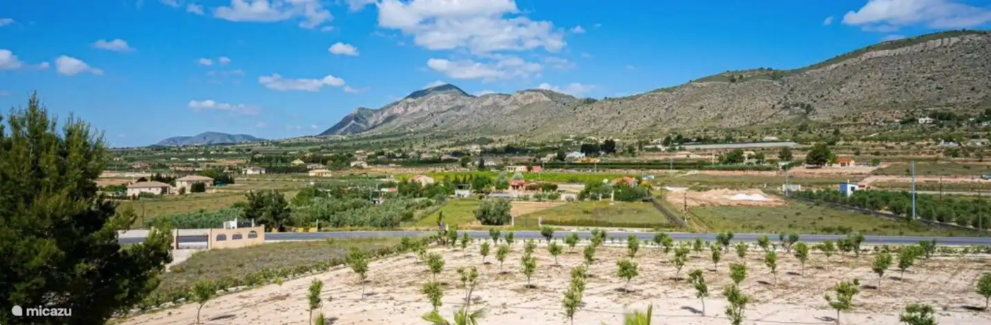 Un paseo matutino por el olivar.