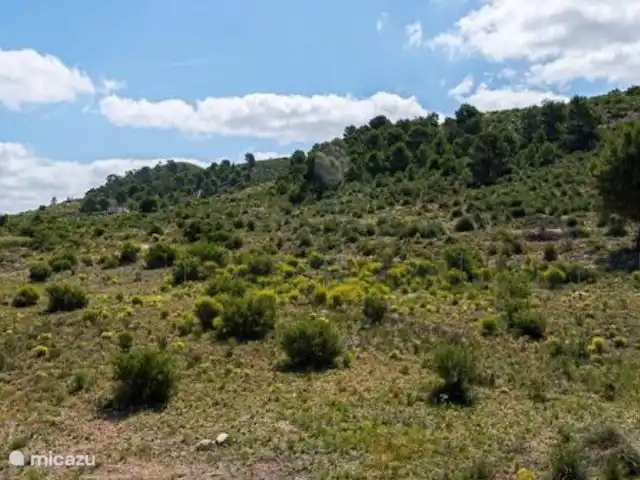 Maison Olivier | Espagne, Costa Blanca, Hondón de las Nieves - villa De cette montagne, vous avez une belle vue sur la vallée de Hondon.