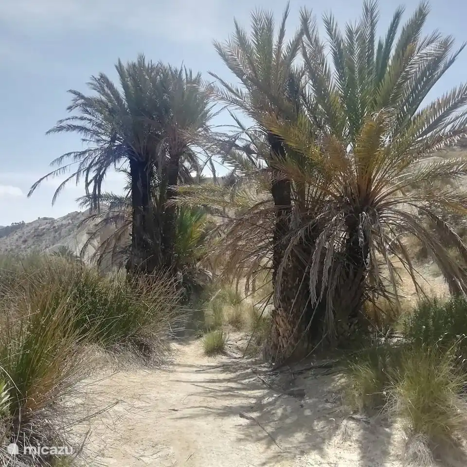 Ruta de senderismo cercana.