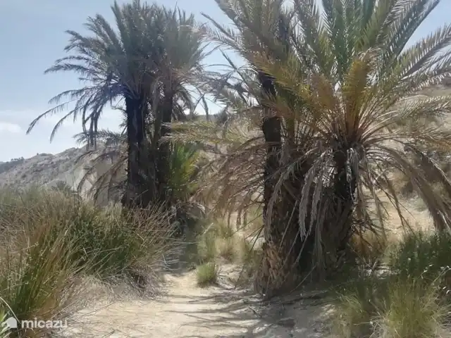 Maison Olivier | Espagne, Costa Blanca, Hondón de las Nieves - villa Sentier de randonnée à proximité.