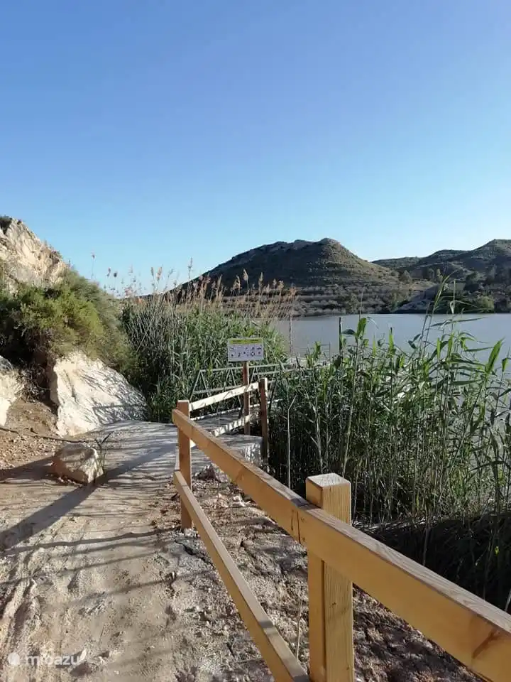 caminando en la naturaleza