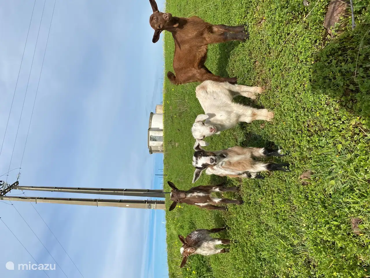 Unsere freundlichen Nachbarn