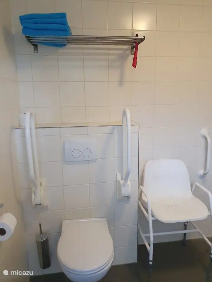 In einer gültigen Toilette mit der Möglichkeit, die Haltegriffe zu benutzen.
