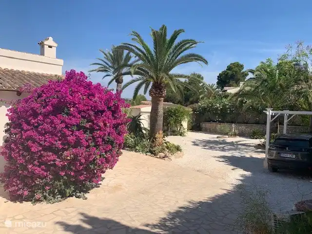 Front garden and carport