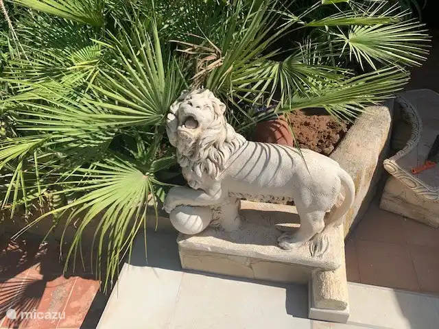 Lion at terrace