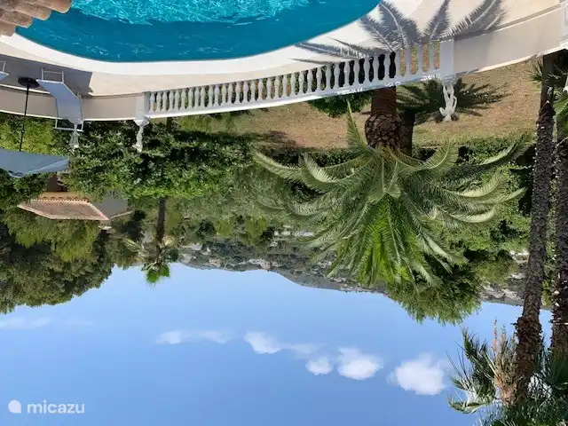 pool, garden and view