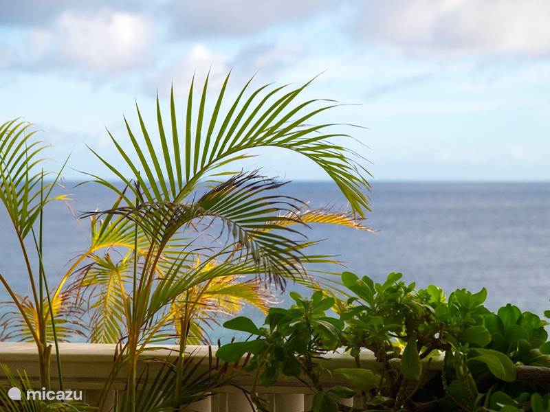 Vakantiehuis Curaçao, Curacao-Midden, Willemstad Stadswoning Ocean View Loft PM78
