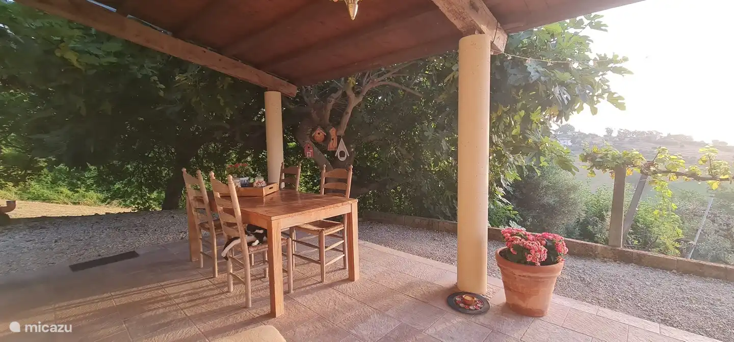 This is where you arrive from your parking lot. Completely free and always nice and cool because of the huge fig tree. What do you think of the birdhouses?