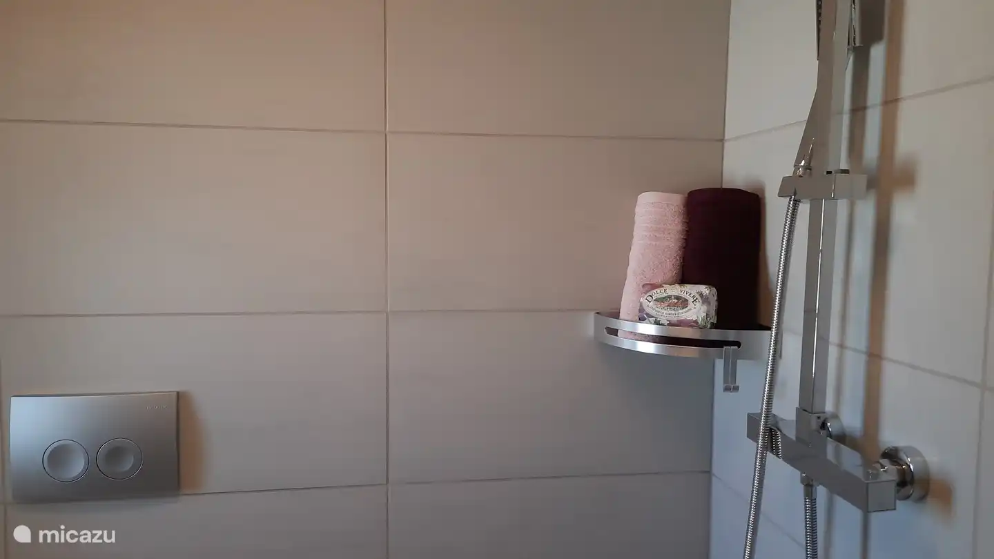 Shower corner bathroom 2