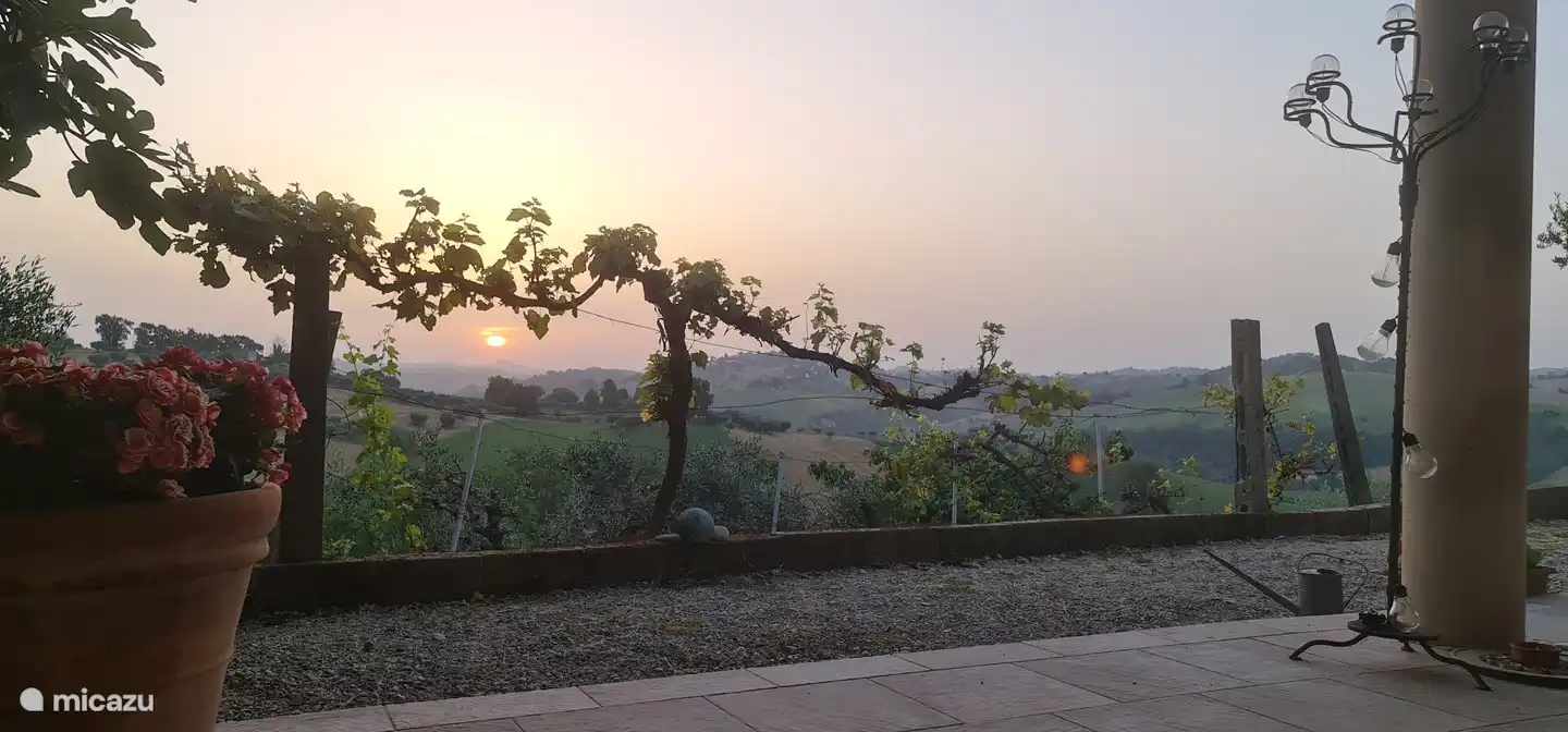 The first rays of sunshine envelop the hills in a soft golden glow. As the world slowly awakens, a serene calm hangs in the air. The soft singing of the birds fits in very well with this.