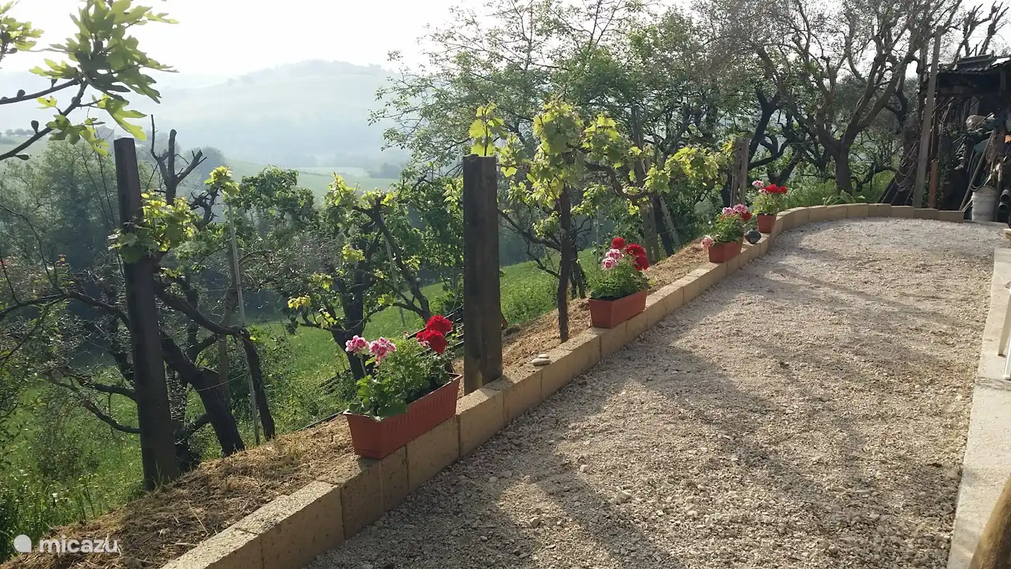 Dawn. Time for some meditation. Don't know how? You can also always ask Fulco.