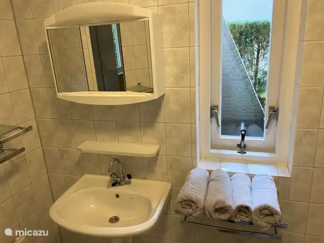 Maison Nuwenspaete | Pays-Bas, Gueldre, Nunspeet - maison de vacances