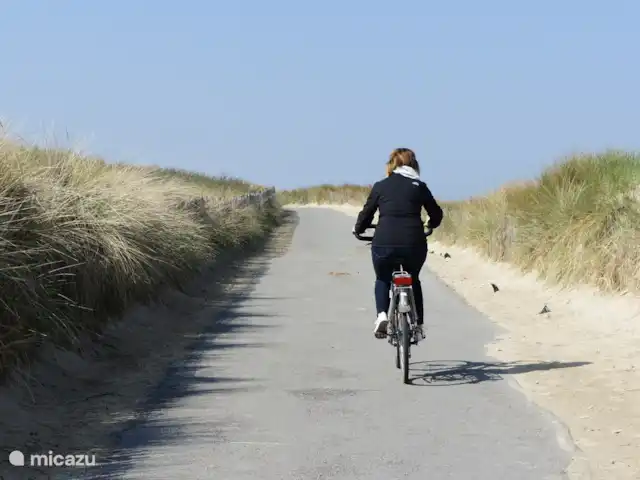 Chalet Zeeuws Vlaanderen en Países Bajos, Zelanda, Nieuwvliet-Bad - mobil home / caravana Impresión de la zona con hermosos senderos para bicicletas.