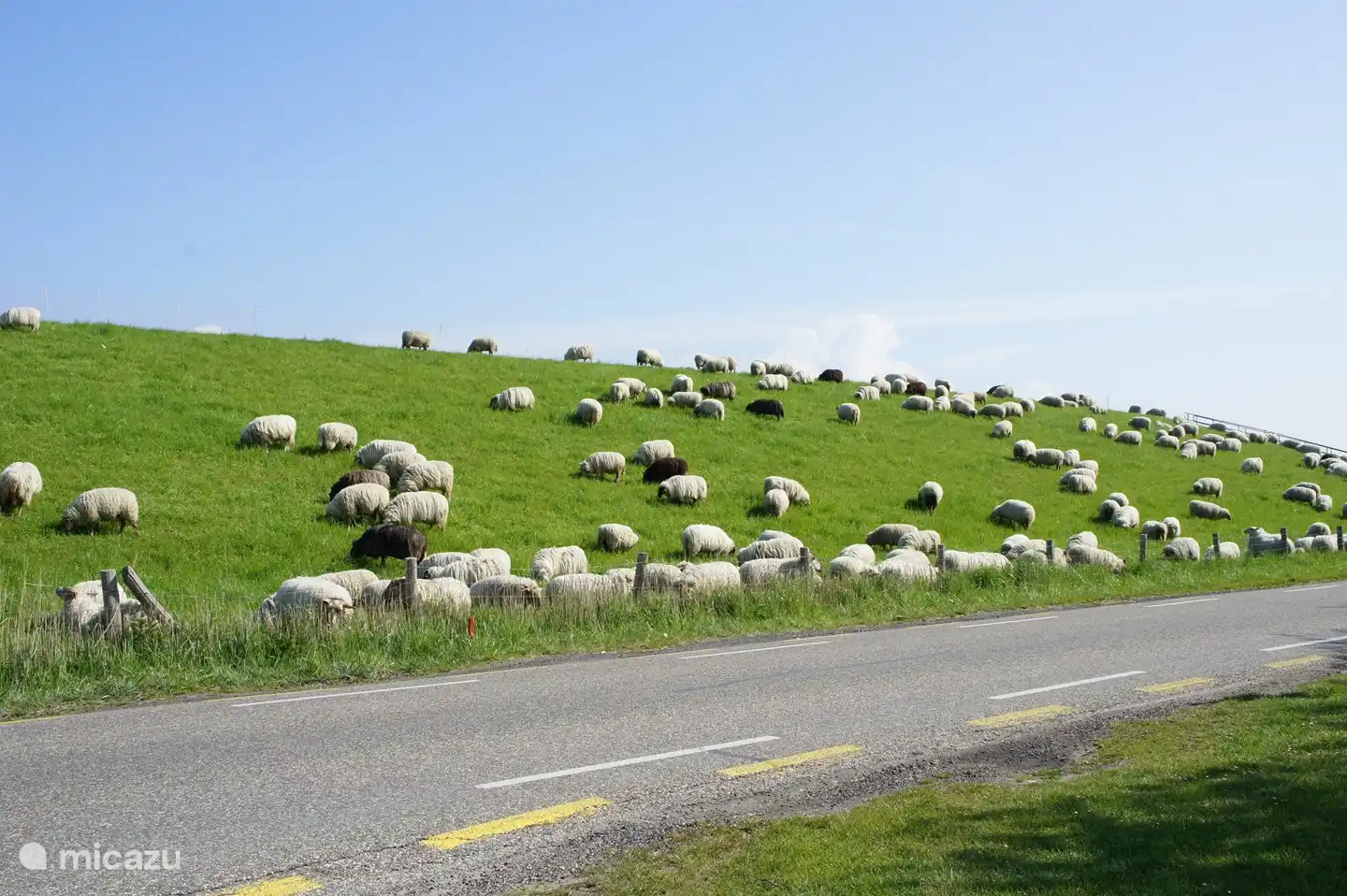 Impressie van de omgeving