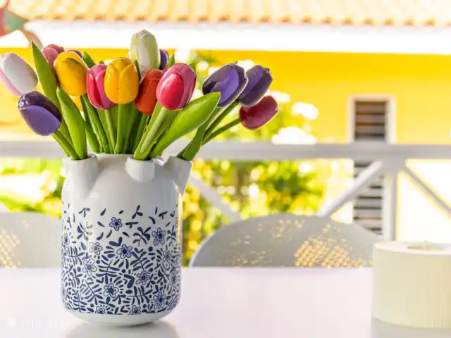 villa en Curazao, Bandabou (oeste), Fontein – Villa Sosega *Vista Única* ¡¡¡Color!!!