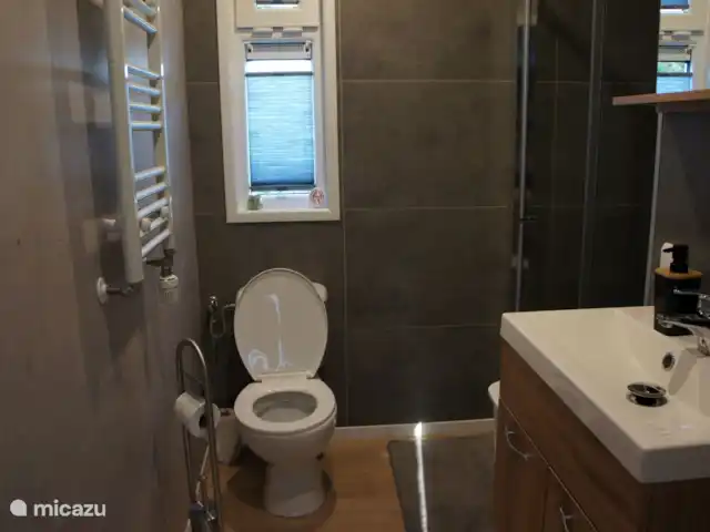 Chalet Carpe Diem | Pays-Bas, Drenthe, Diever - chalet Salle de bain spacieuse avec WC