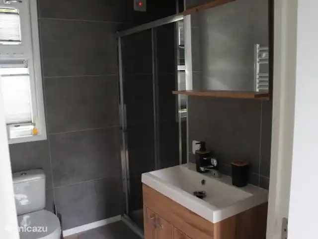Chalet Carpe Diem | Pays-Bas, Drenthe, Diever - chalet Salle de bain moderne avec douche hydromassante