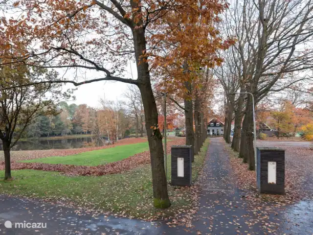 Villa NAMI en Países Bajos, Overijssel, Denekamp - casa vacacional Pinos de Bavel
