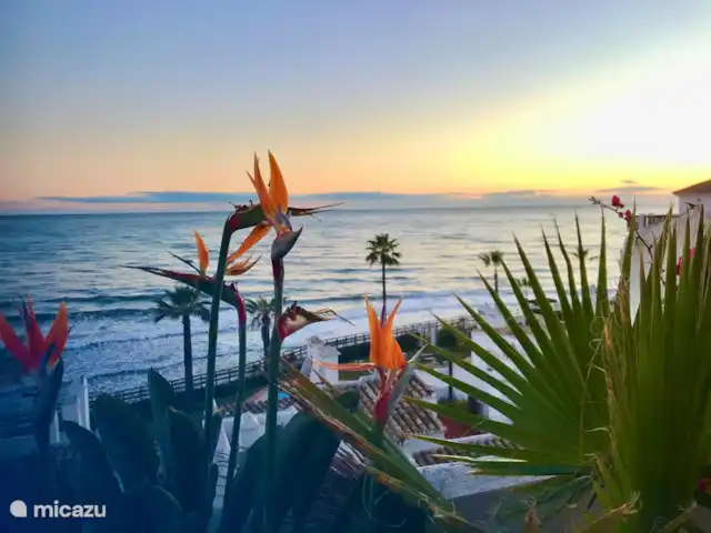 Plage Lunamar | Espagne, Andalousie, Calahonda - appartement Coucher de soleil