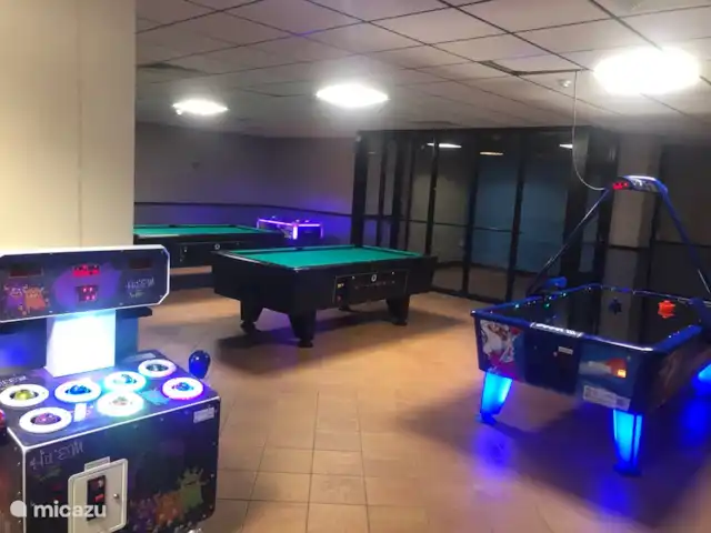 Preciosa casa, bañera de hidromasaje, jardín, pájaros. en Países Bajos, Güeldres, Ewijk - casa vacacional sala de juegos interior