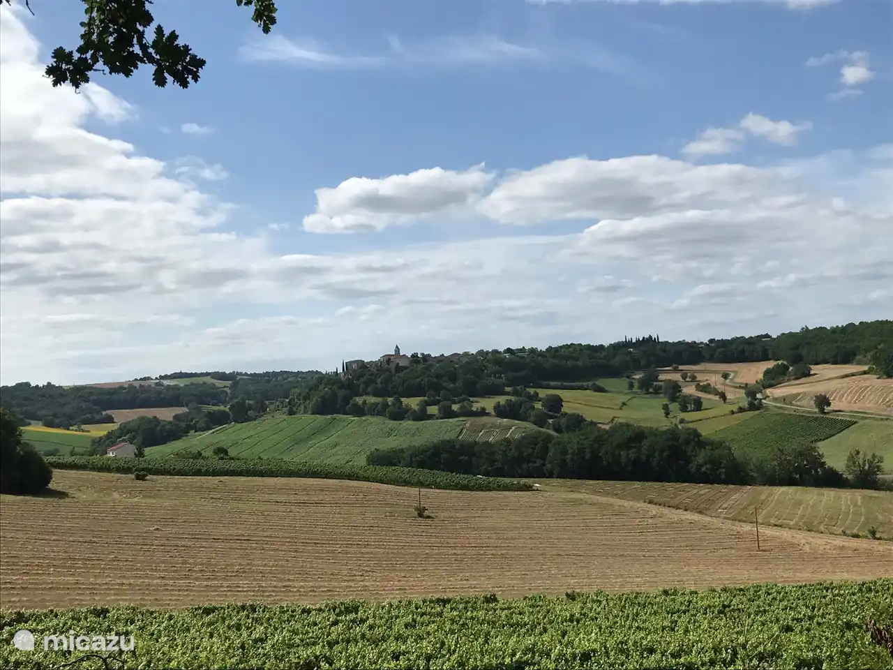 Landscape Quercy Blanc