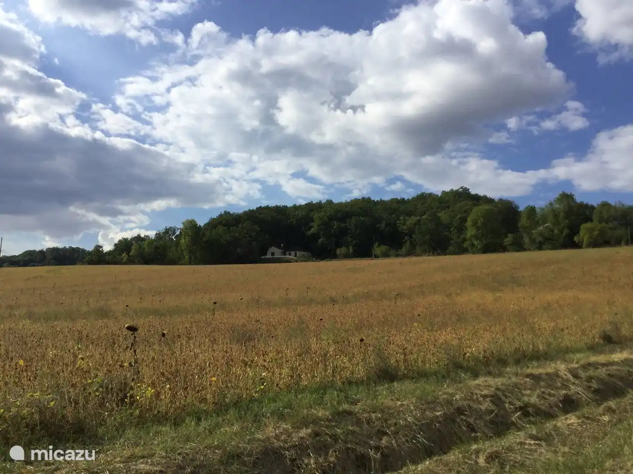 View from the street of the house.
