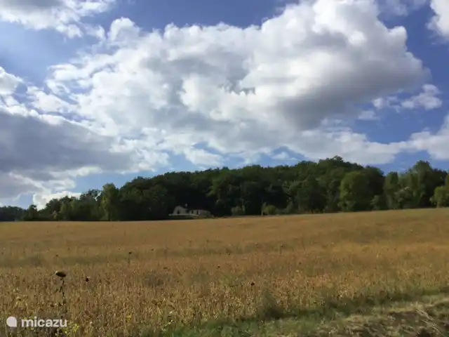 Les Ramonets - en pleine nature - privé | France, Lot, Castelnau-Montratier - maison de vacances Vue de la rue sur la maison.