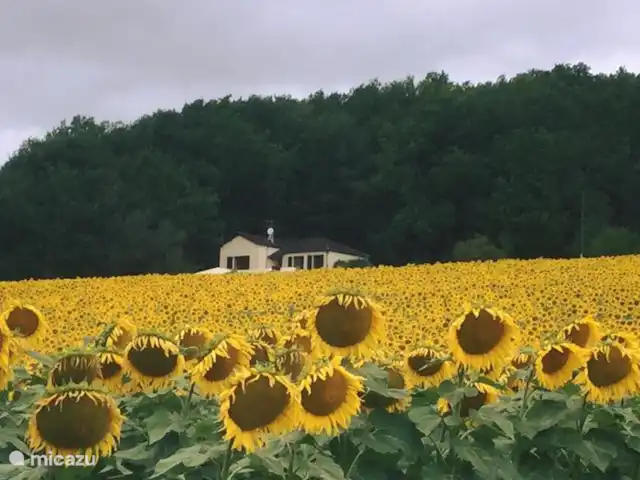 Les Ramonets - en pleine nature - privé | France, Lot, Castelnau-Montratier - maison de vacances La maison est complètement indépendante.