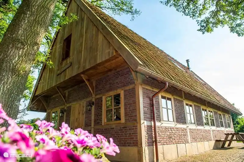Erve Schuurboer in Niederlande, Overijssel, Tilligte - ferienhaus