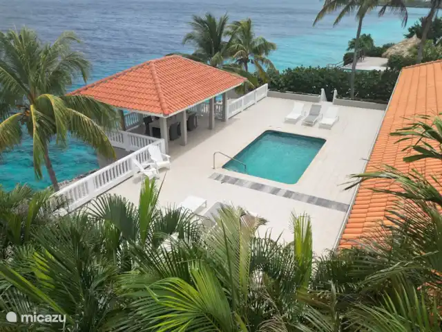Villa Ocho | Curaçao, Banda Abou (ouest), Coral Estate, Rif St.Marie - villa La grande terrasse avec transats et belle piscine.