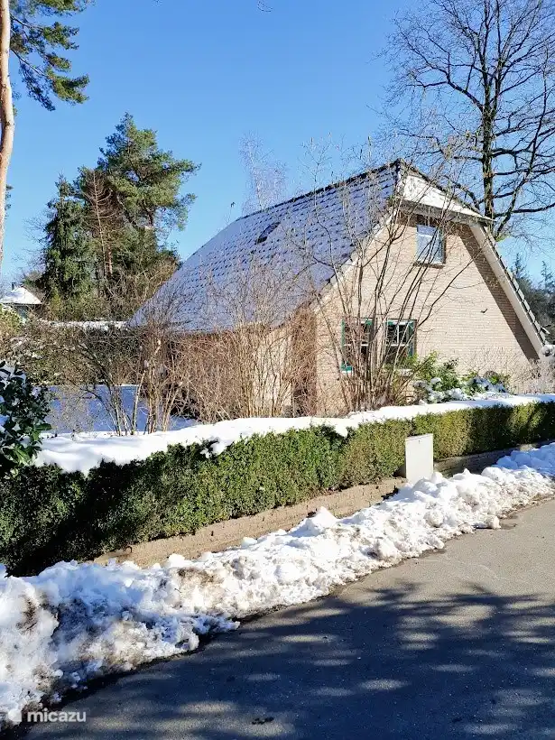 Die Veluwe ist auch im Winter wunderschön.