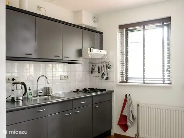 Maison de vacances Clara | Pays-Bas, Gueldre, Lunteren - bungalow La cuisine a un lave-vaisselle, un micro-ondes combiné et est entièrement équipée.