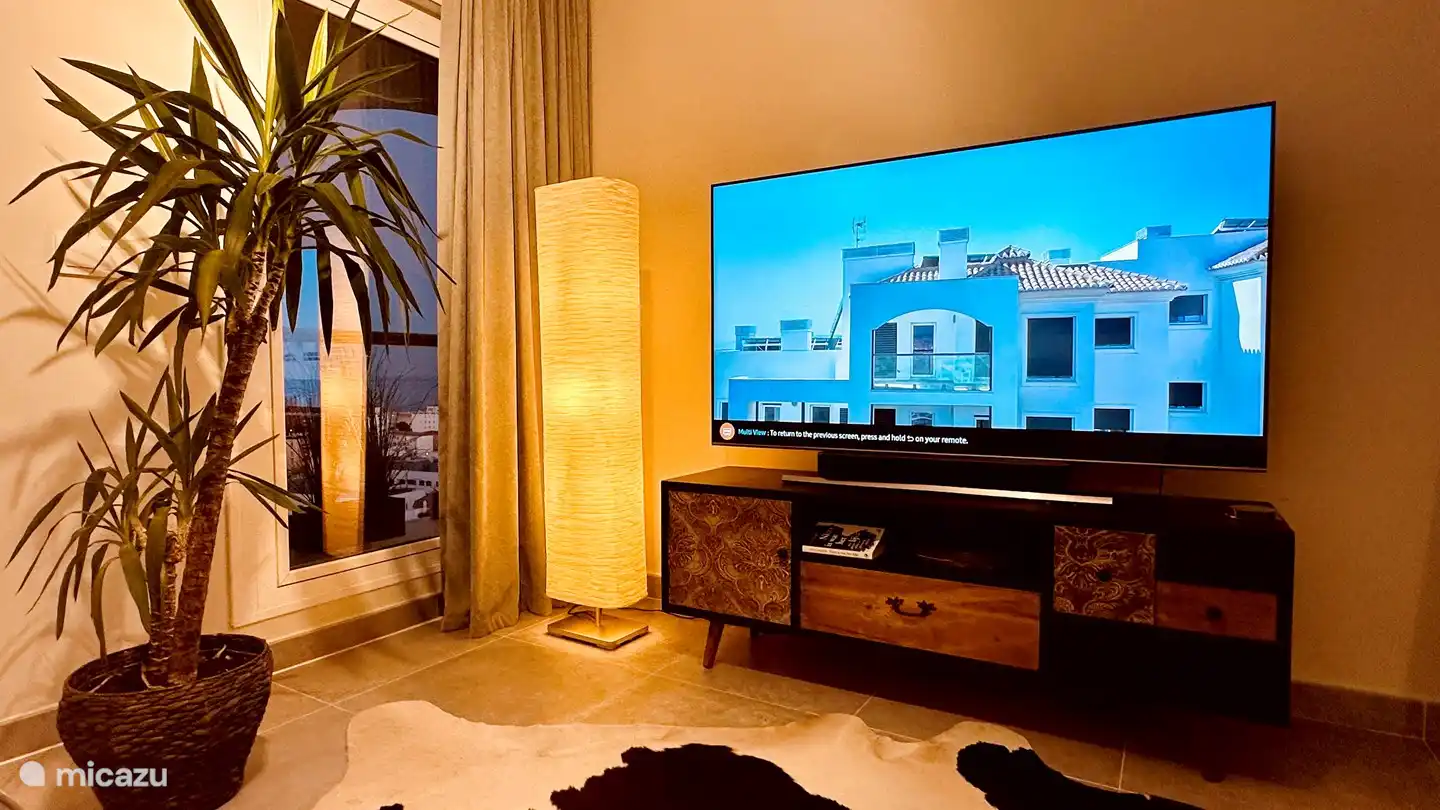 65 TV with IPTV, Netflix, NL Ziet, Disney and Amazon.