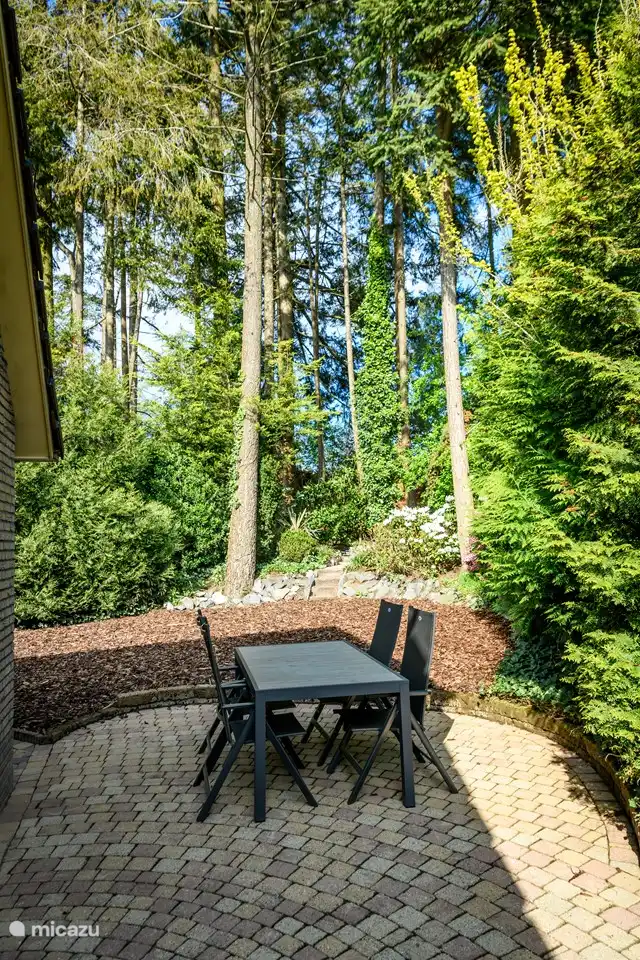 Atmósfera impresión patio trasero desde la terraza.