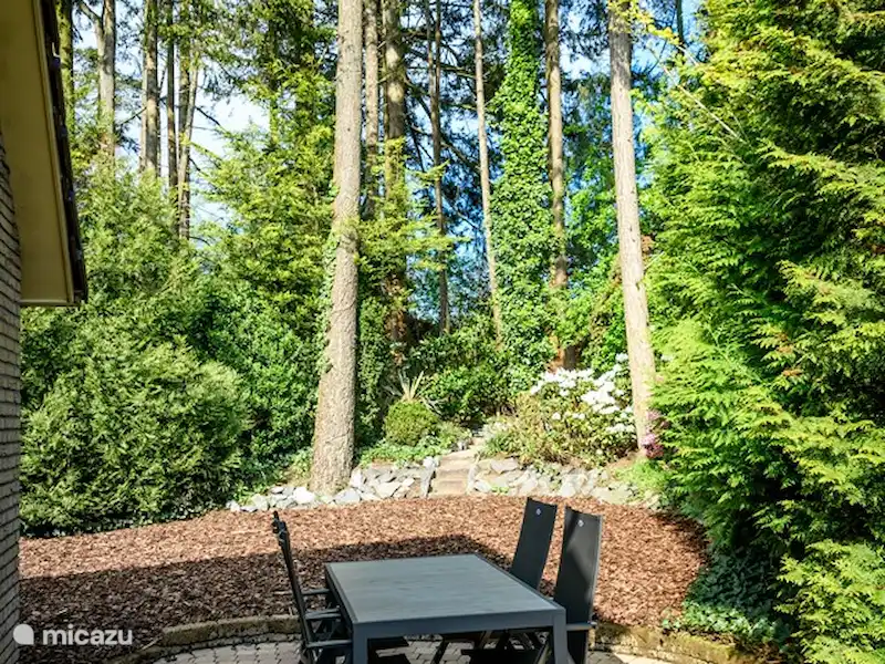 Maison de vacances Marianne | Pays-Bas, Gueldre, Lunteren - Bungalow Maison de vacances Marianne | Pays-Bas, Gueldre, Lunteren - Bungalow